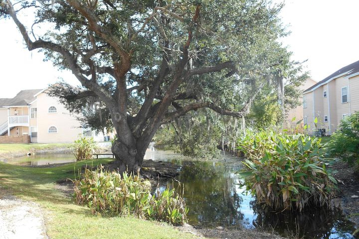 Property Grounds 49 of 49