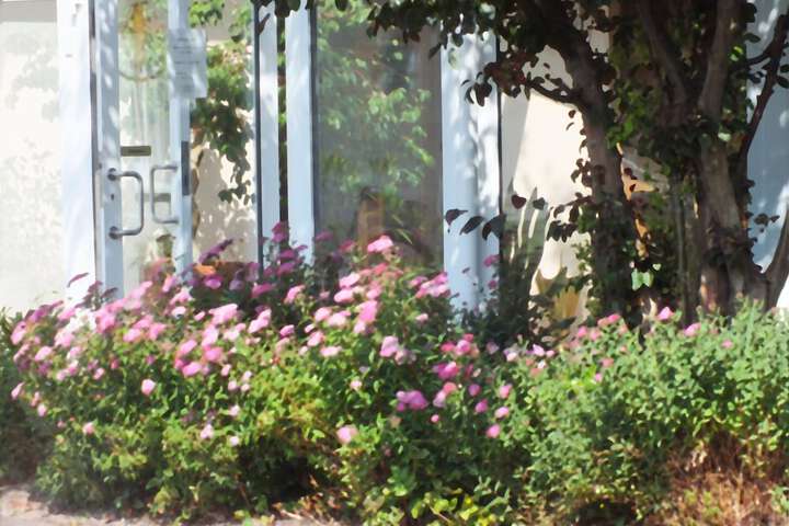Property Grounds 17 of 29