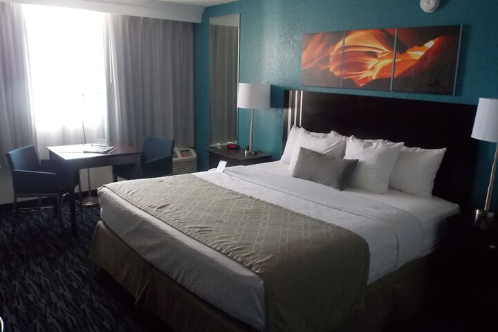 1 King Bed Accessible (6 of 24)