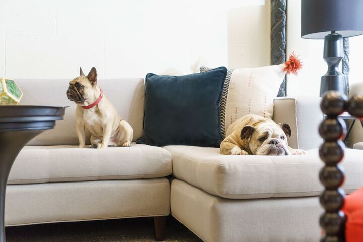 Pet-friendly