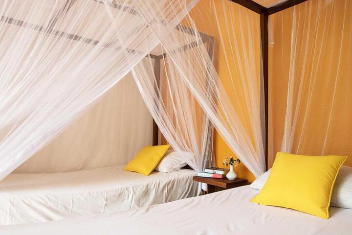 Wellness Treatments