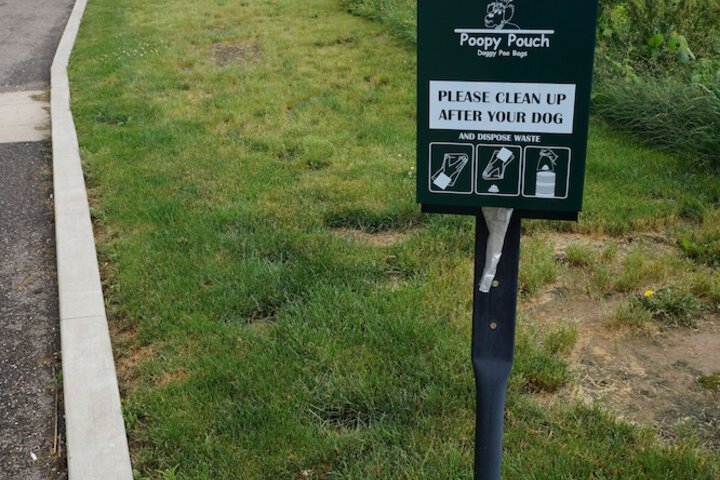 Pet-friendly