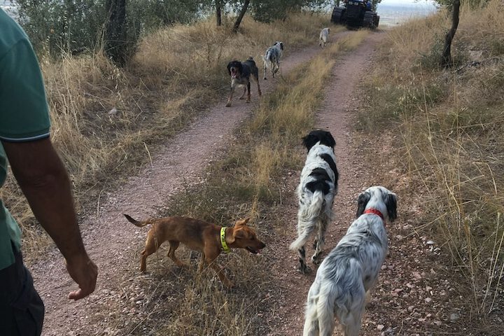 Outdoor Activities 52 of 206