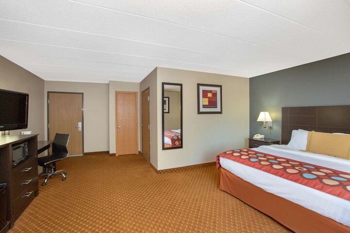 1 King Bed Mobility Accessible (19 of 19)