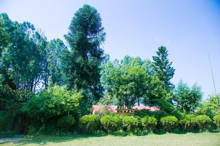 Property Grounds 17 of 29