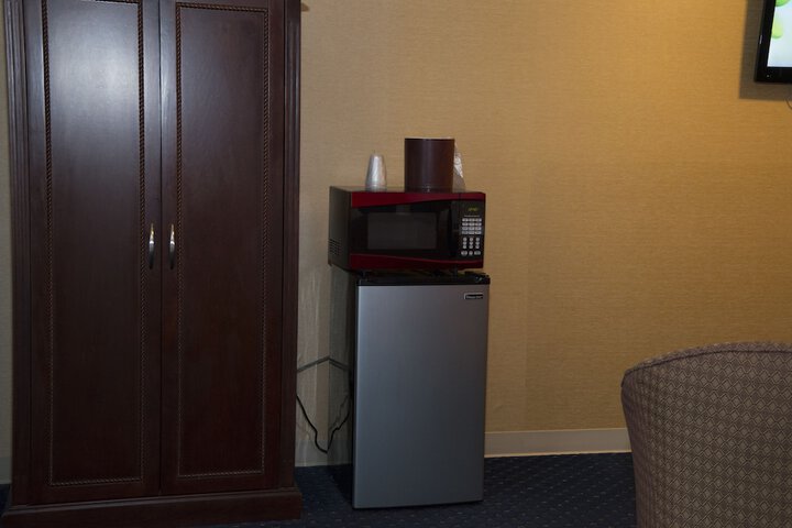 Mini-refrigerator