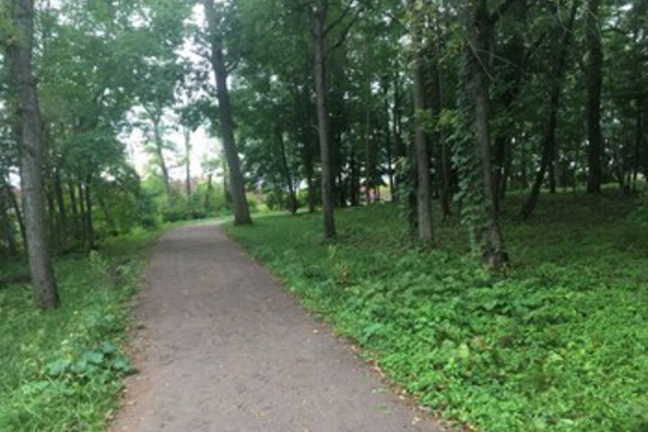 Outdoor Activities 8 of 19