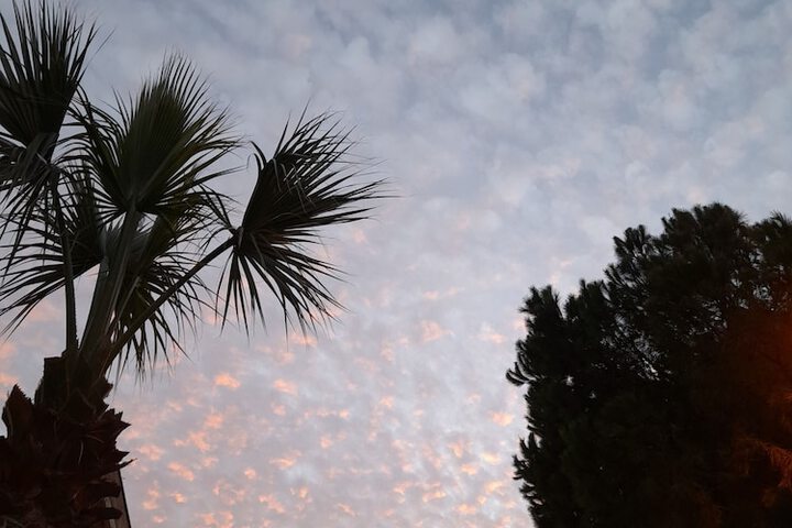 Beach 49 of 60
