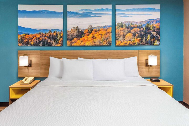 1 King Bed (7 of 9)