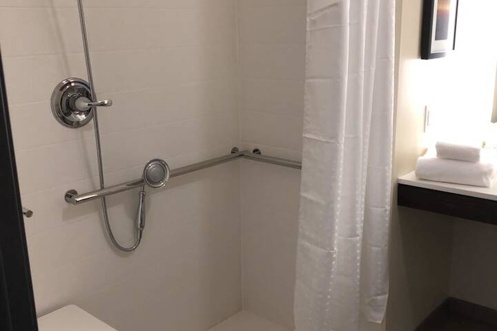 Standard King Bed Bathtub Accessible (4 of 34)