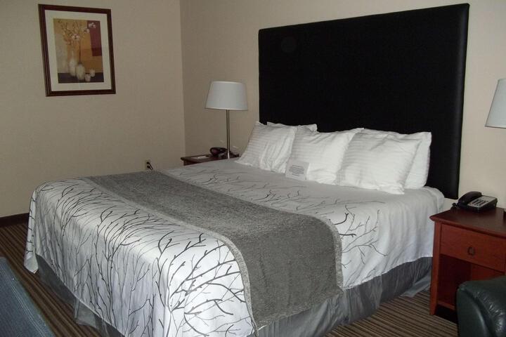 1 King Bed Microwave and Refrigerator Work Desk WiFi Full Breakfast (4 of 21)
