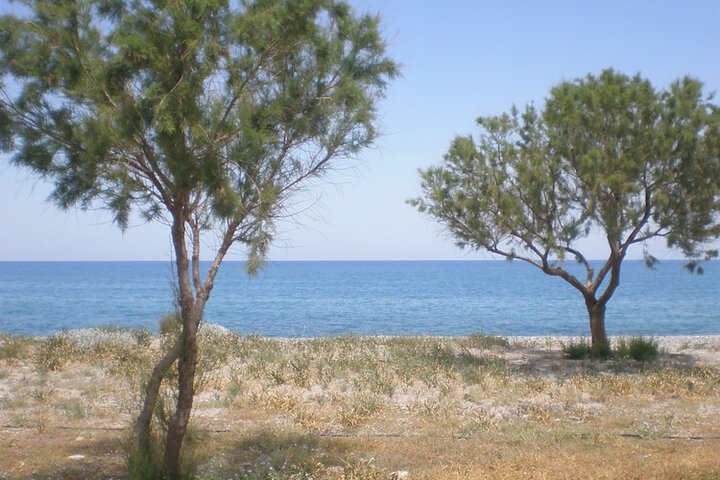 Beach 57 of 79