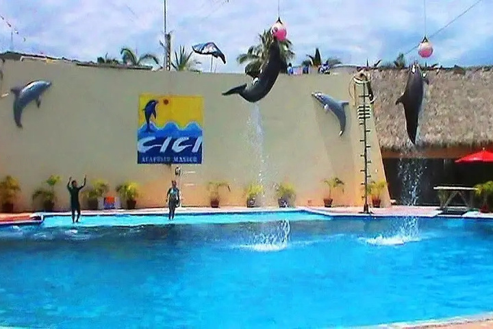 Pool 8 of 15