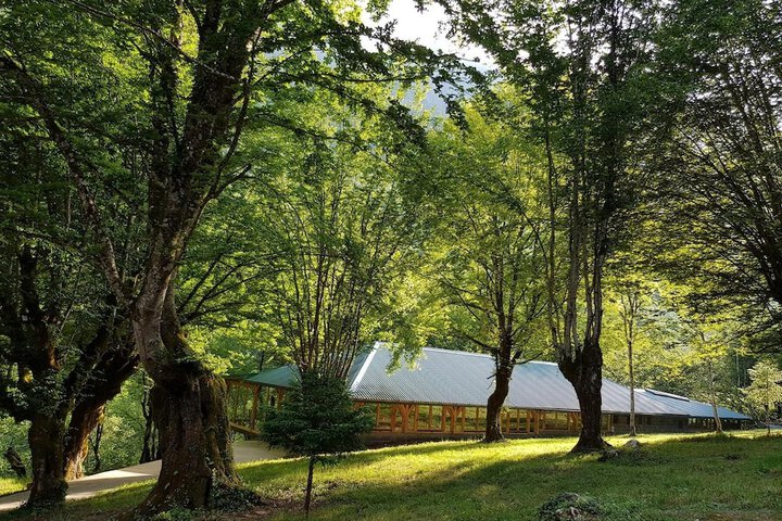 Property Grounds 28 of 34