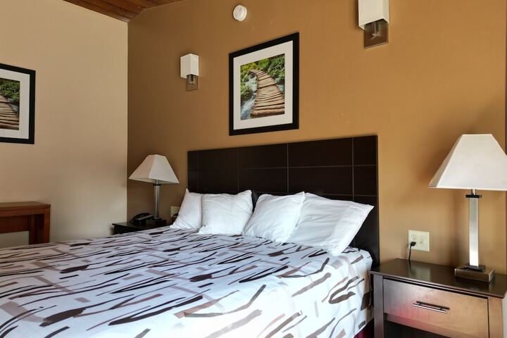 Standard | King Bed (7 of 7)