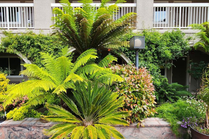 Garden view