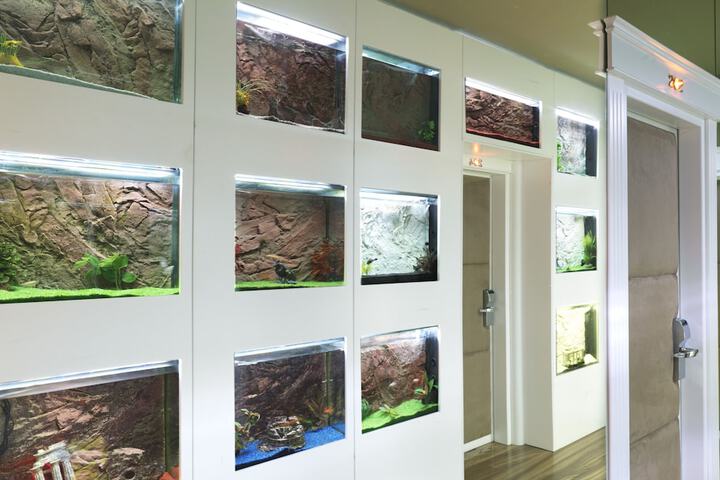 Ballroom/Hall 109 of 118