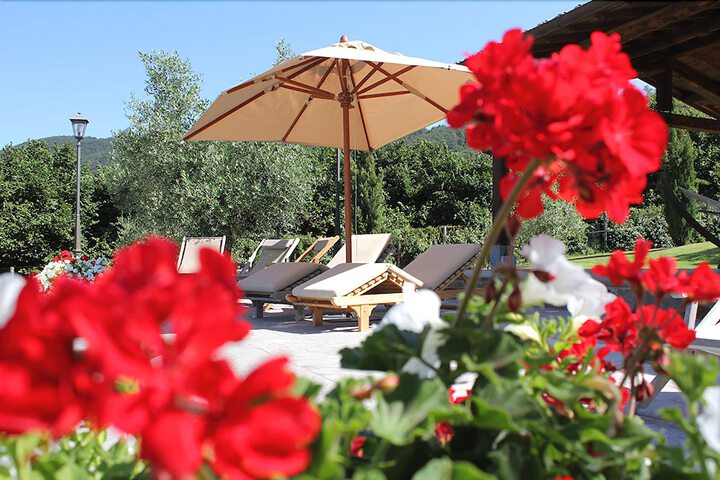 Sundeck 74 of 85