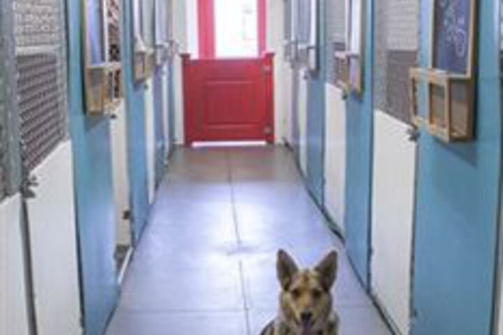 Pet Friendly 28 of 30
