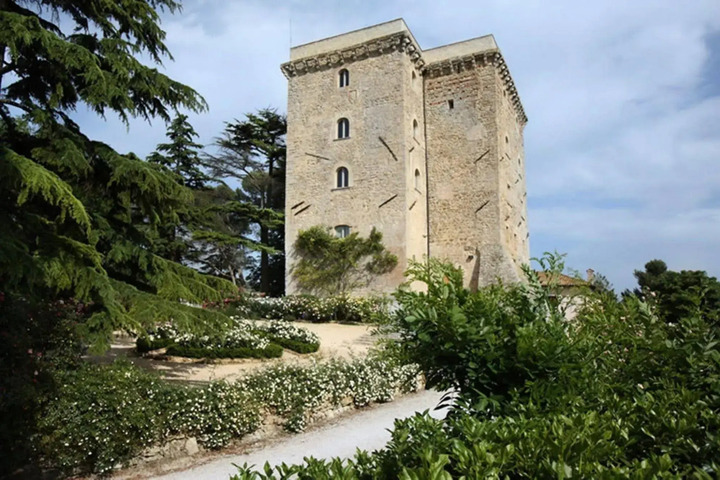 Photo 8