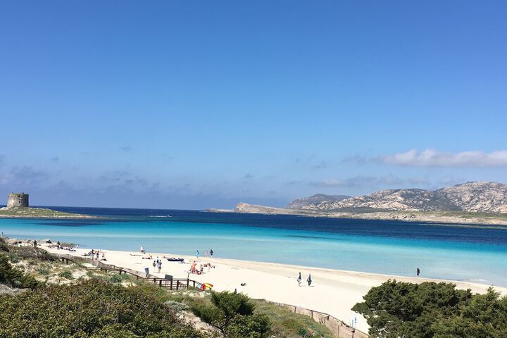Beach 76 of 99