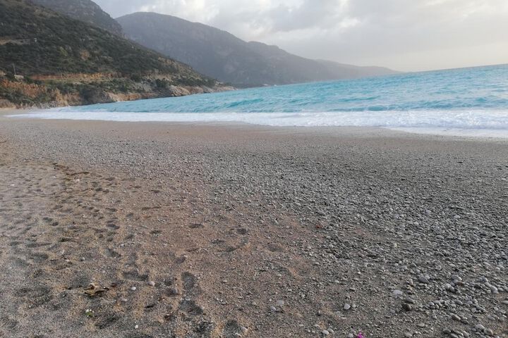 Beach 60 of 65