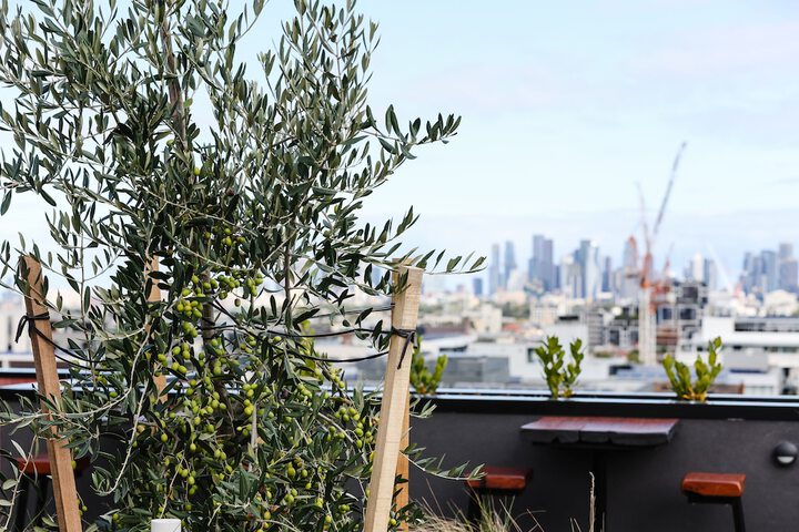 Terrace/Patio 41 of 43