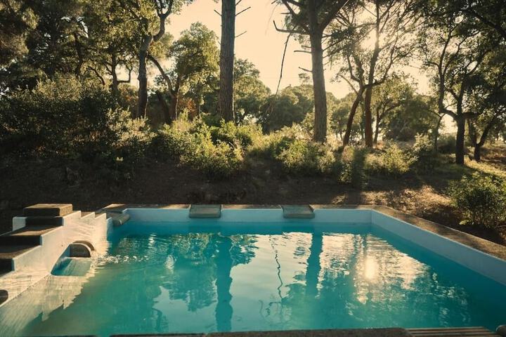 Pool 31 of 54