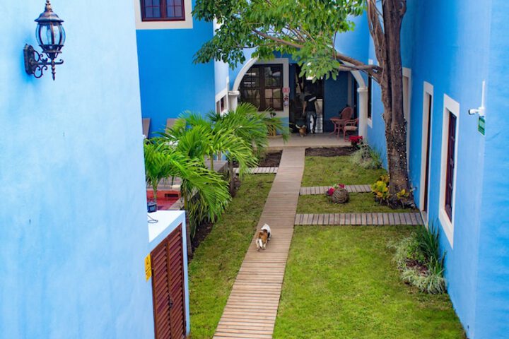 Terrace/Patio 13 of 18