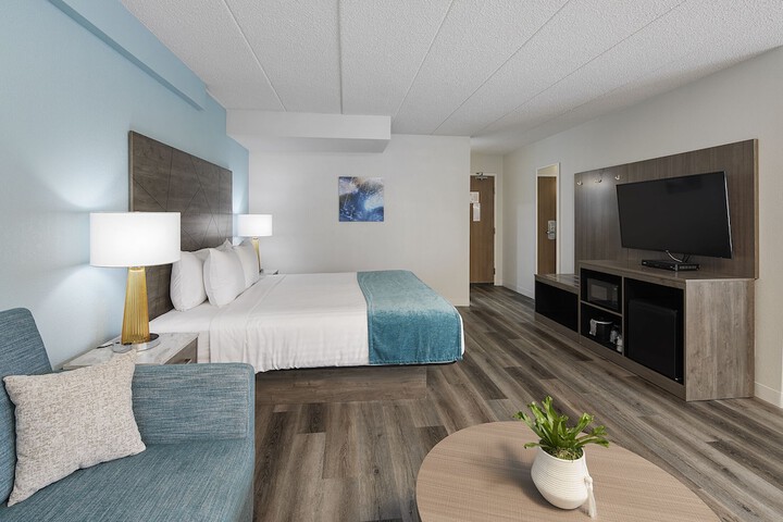 1 King Bed (7 of 9)