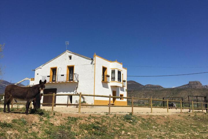 Casa Justo