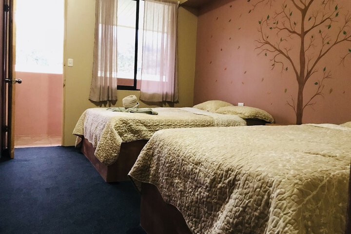 Room 4 of 71