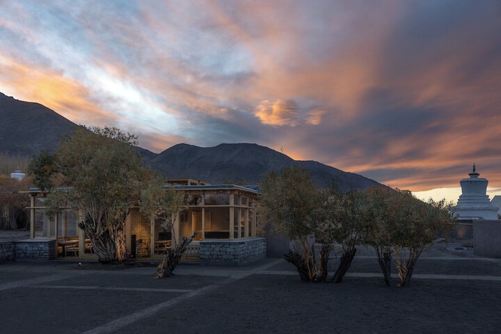 The Postcard in The Himalayan Willows in Leh