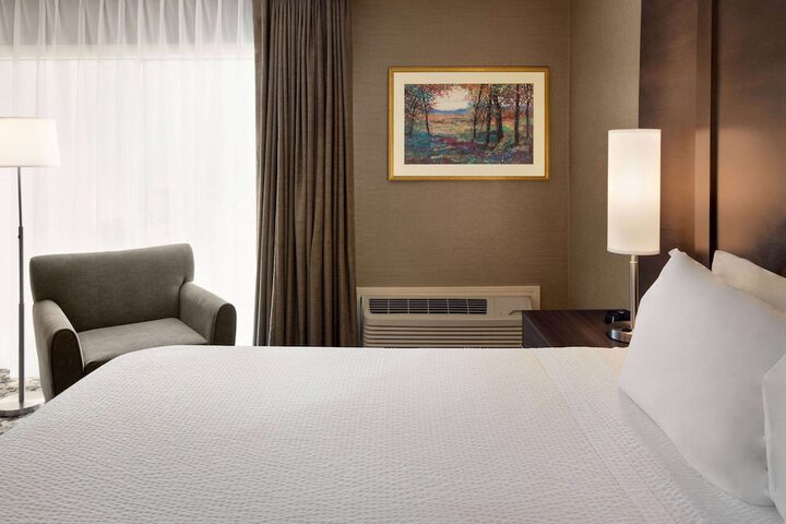 Deluxe King Bed (5 of 9)