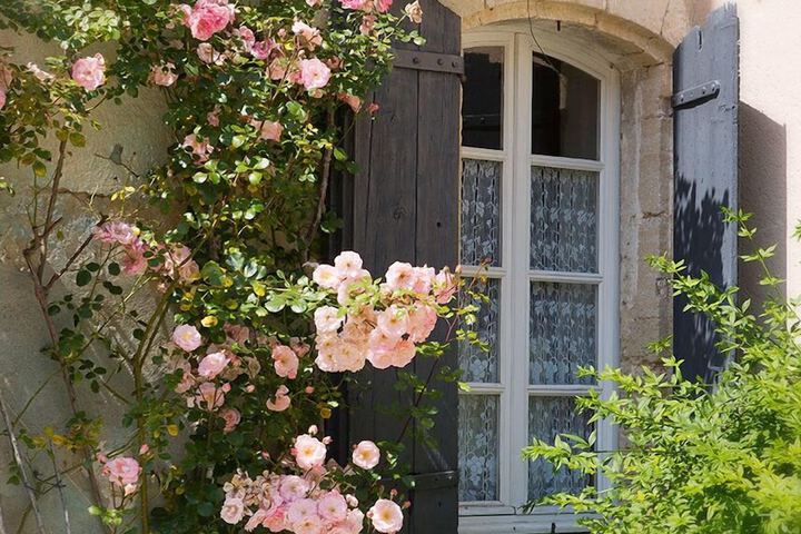 Spa and Wellness Pictures