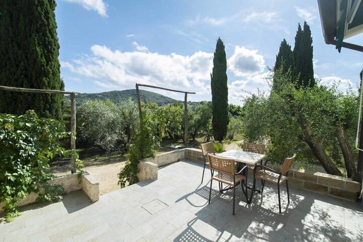 Terrace/Patio 15 of 31