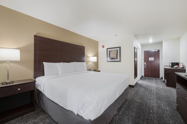 Guest Room Single King Bed Accessible (2 of 17)
