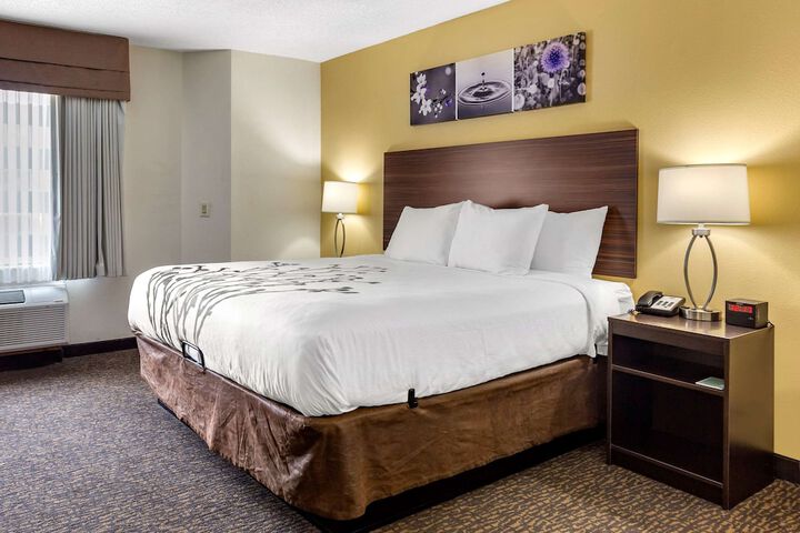 1 King Bed (3 of 11)