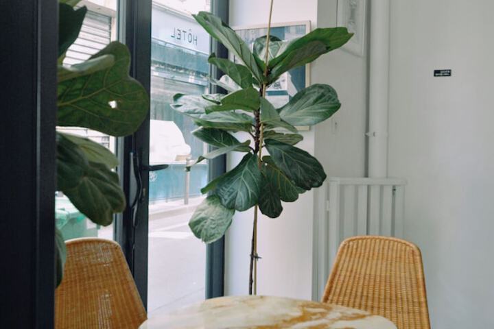 Guest Lobby