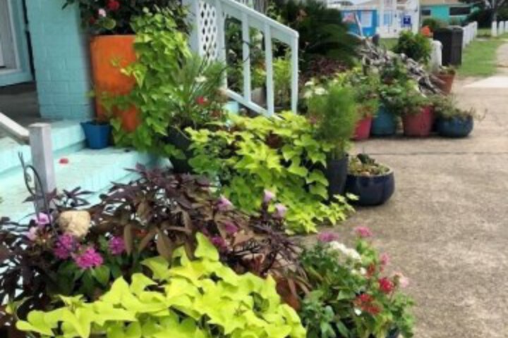 Hotel Interior 11 of 113