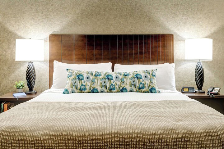 1 King Bed (1 of 27)