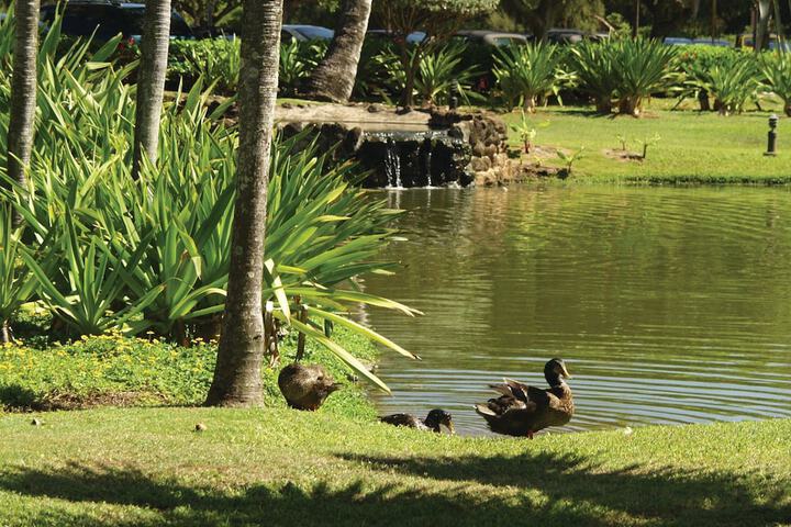 Kauai Beach Villas