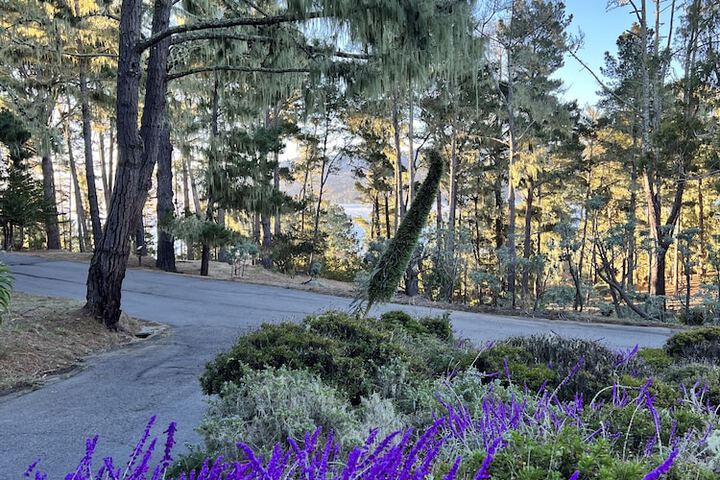 Property Grounds 69 of 75