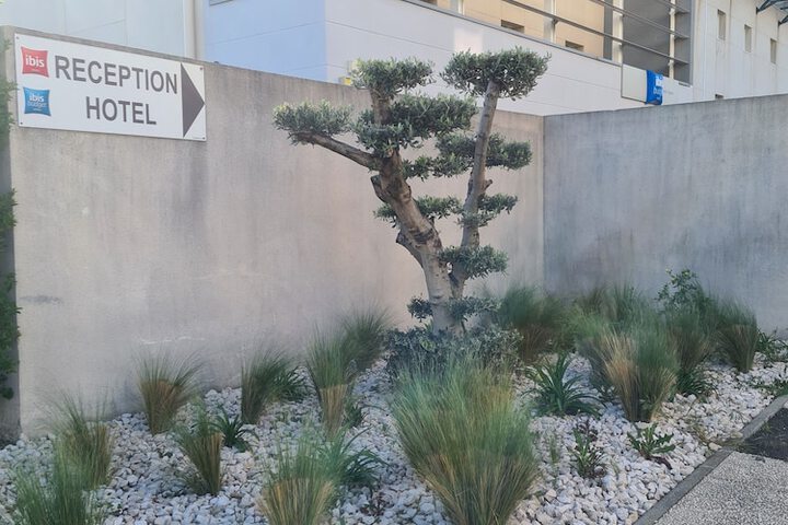 Hotel Entry