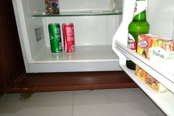 Mini-refrigerator