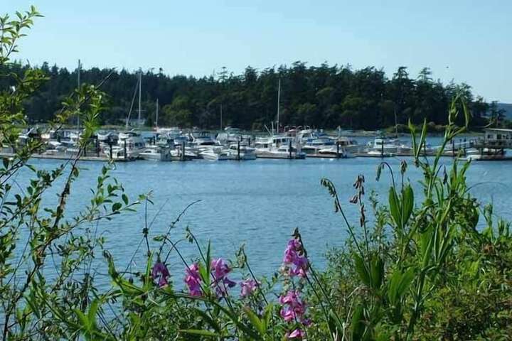 Property Grounds 73 of 90