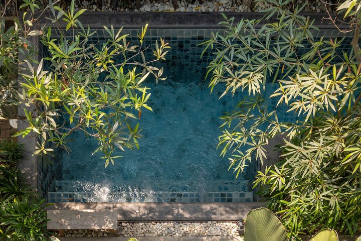 Pool 24 of 36