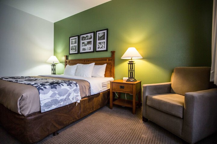 1 King Bed Suite (5 of 9)