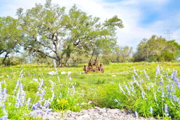 Hotel View 451 of 459