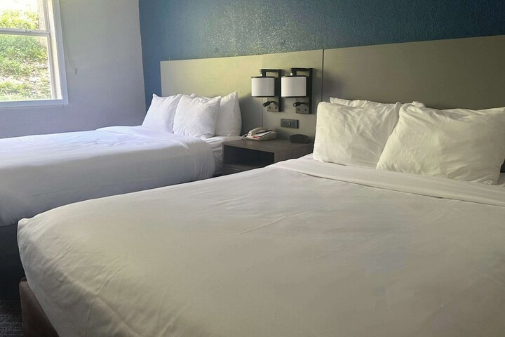 Suite King Bed Accessible (12 of 12)